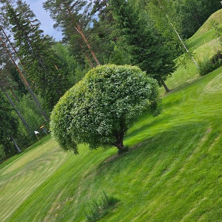 Kesaeaitat Hotel Ähtäri Kültér fotó