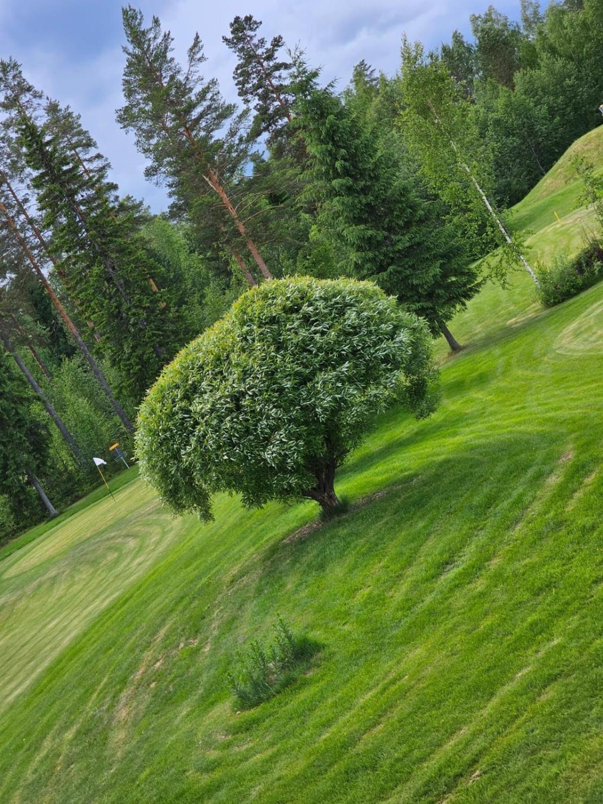 Kesaeaitat Hotel Ähtäri Kültér fotó